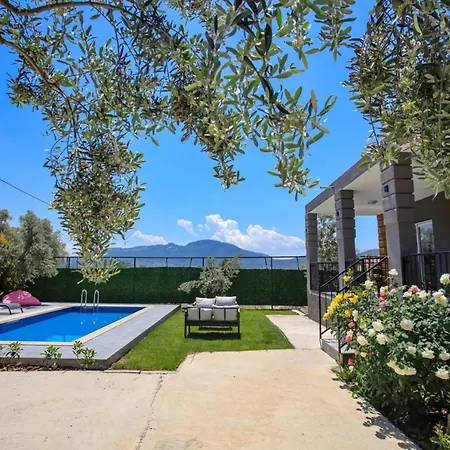 Captivating With Private Pool Surrounded By Olive Trees In Fethiye