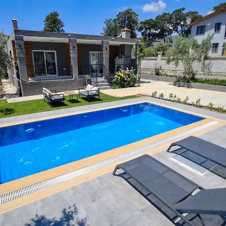 Captivating With Private Pool Surrounded By Olive Trees In Fethiye Villa