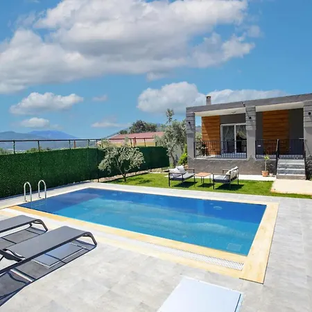 Captivating With Private Pool Surrounded By Olive Trees In Fethiye Uzumlu