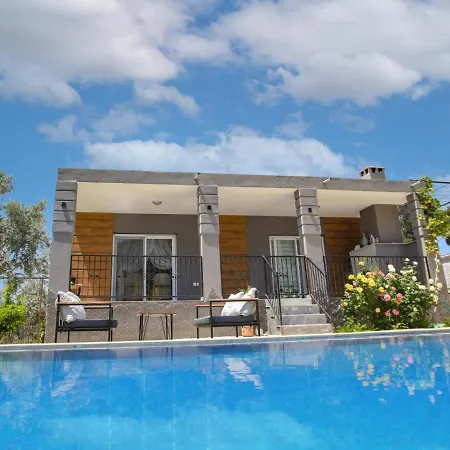 Captivating With Private Pool Surrounded By Olive Trees In Fethiye Villa *